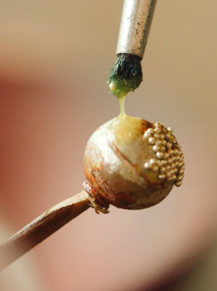 Jawan-Beads-put-on-plong